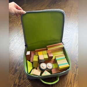 Tegu magnetic blocks and carrying travel case